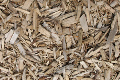 biomass boilers Staploe